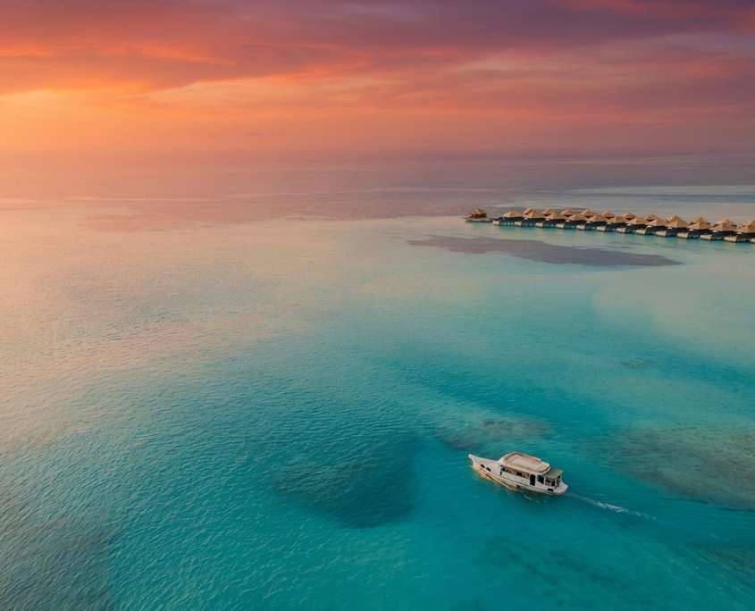 Dolphin sunset cruise excursion at NALA maldives adults only resort in The Maldives for adults only